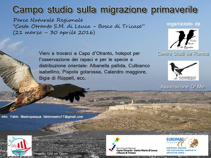 Capo d’Otranto: ornitologi da tutta Italia per il Campo Scuola Primaverile