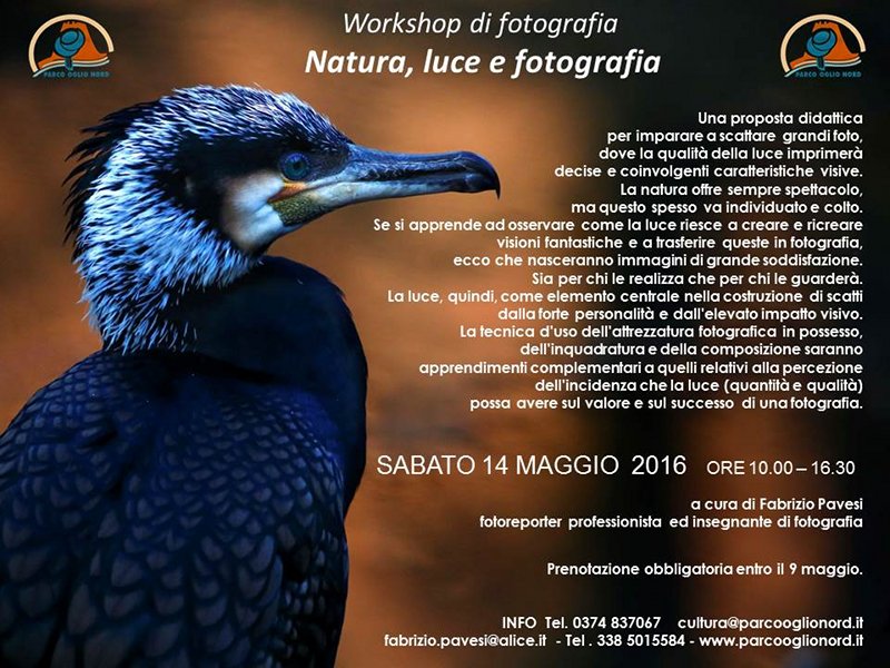 Workshop di fotografia - Natura, luce e fotografia