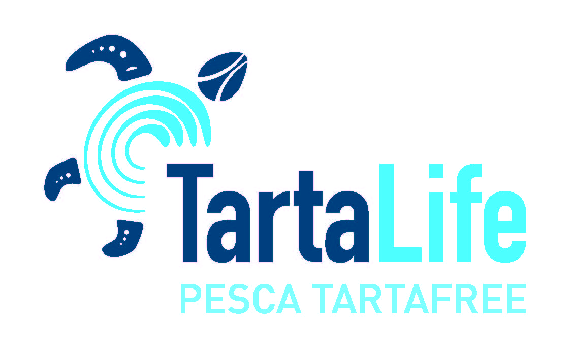 sperimentazione sulle catture accidentali delle tartarughe marine durante le attività di pesca professionale - progetto life + 12/nat/it/000937 - Tartalife.