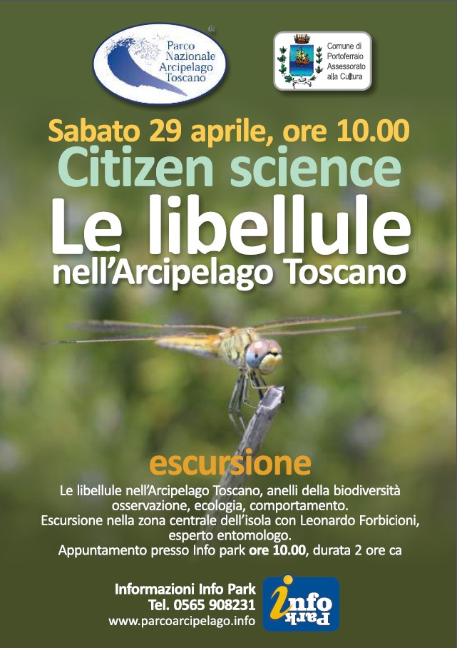 Citizen Science con il Parco  per conoscere  le libellule nell'Arcipelago Toscano.