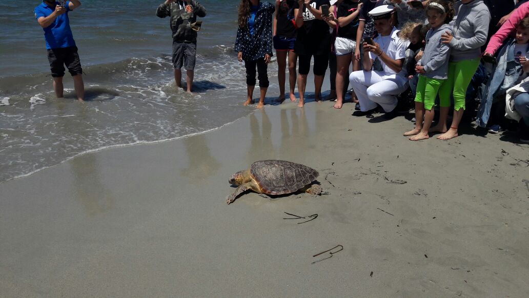 L’Area Marina Protetta “Isole Egadi” festeggia con la liberazione della tartaruga Teo il 25° anniversario del Programma Life
