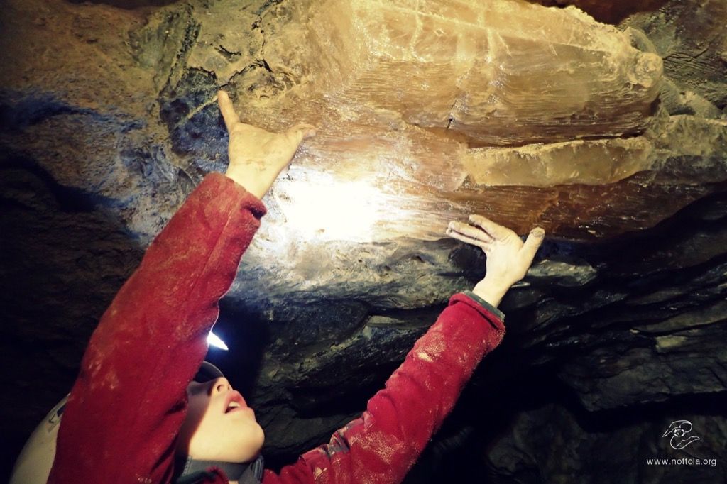 Grotta del Re Tiberio - Visita Speleologica