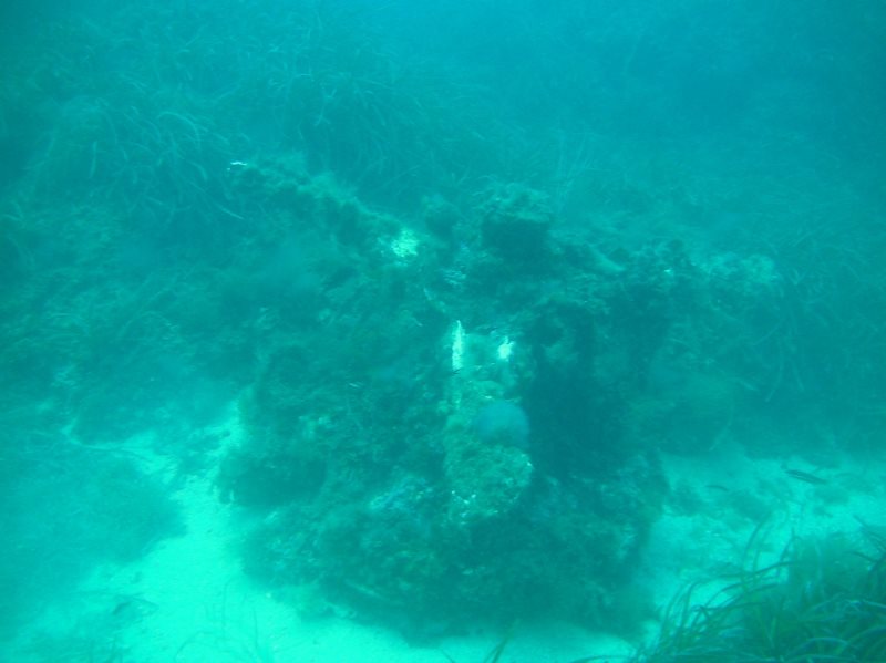 Eccezionale ritrovamento nei fondali dell’Area Marina Protetta delle Egadi che continuano a ‘restituire’ reperti storici