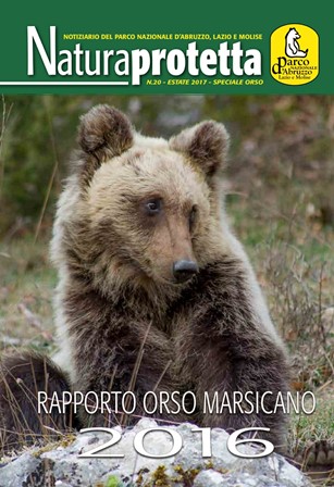 Pubblicato il Rapporto orso bruno marsicano 2016