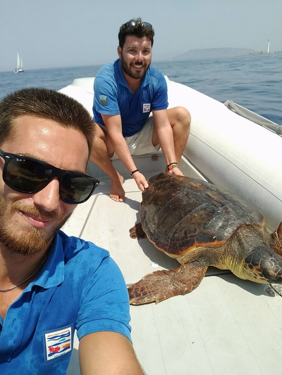Salvate altre due tartarughe marine in due giorni  dal Centro di Primo Soccorso dell’AMP “Isole Egadi” 