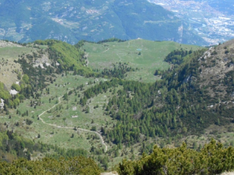 Monte Varagna - Val del Parol - Malga Campei di sotto