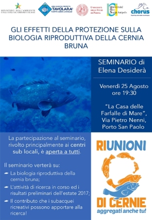 Invito al seminario 'Gli effetti della protezione sulla biologia riproduttiva della cernia bruna'