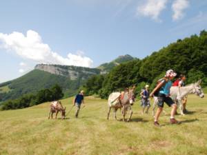Trekking con gli asini nel Parco Naturale Locale Monte Baldo