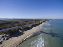 Nasce l'Associazione degli operatori balneari del Parco delle Dune Costiere 