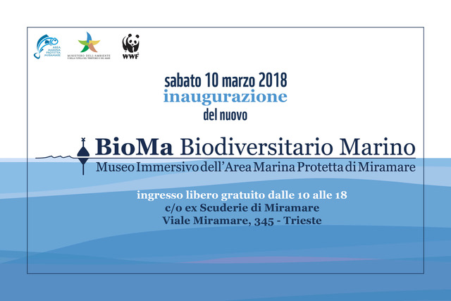 Il 10 marzo apre il Biodiversitario Marino!