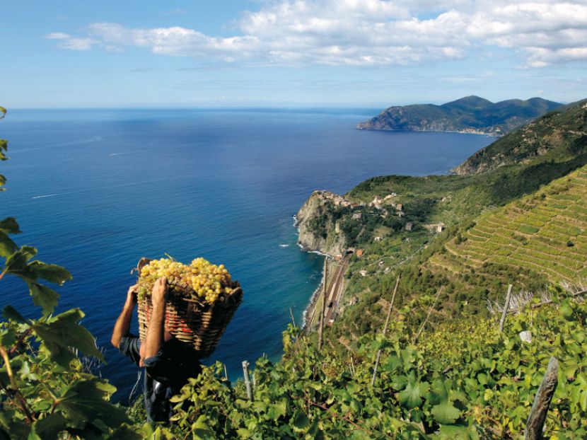 Municipality of La Spezia and Cinque Terre National Park: 'The Tastings at the Museum' carries on.