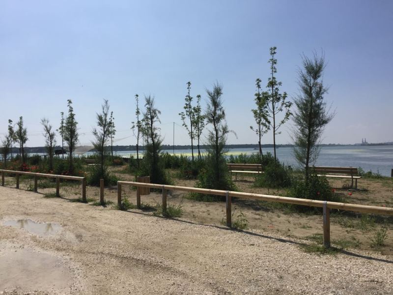 Distretto ambientale della zona nord di Ravenna: approvato lo schema di convenzione tra Comune e Parco del Delta del Po, propedeutico alla gara per la gestione