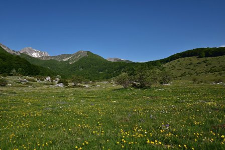 La Regione Abruzzo approva le misure di conservazione sito specifiche del SIC 'Parco nazionale d'Abruzzo'