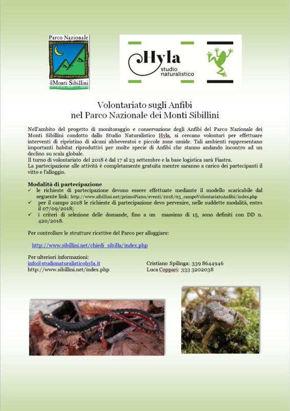 Campo di Volontariato per la conservazione degli Anfibi nel Parco Nazionale dei Monti Sibillini