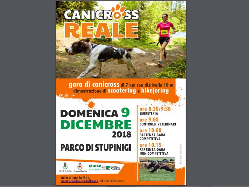 Canicross Reale