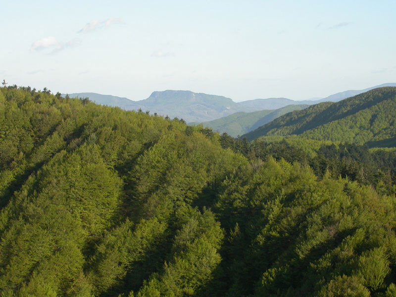 Natura 2000 nei Parchi Nazionali
