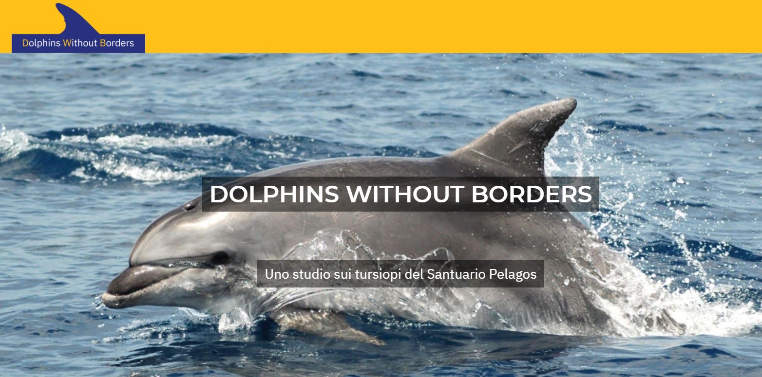 Seminario sul Progetto 'Delfini Senza Frontiere'