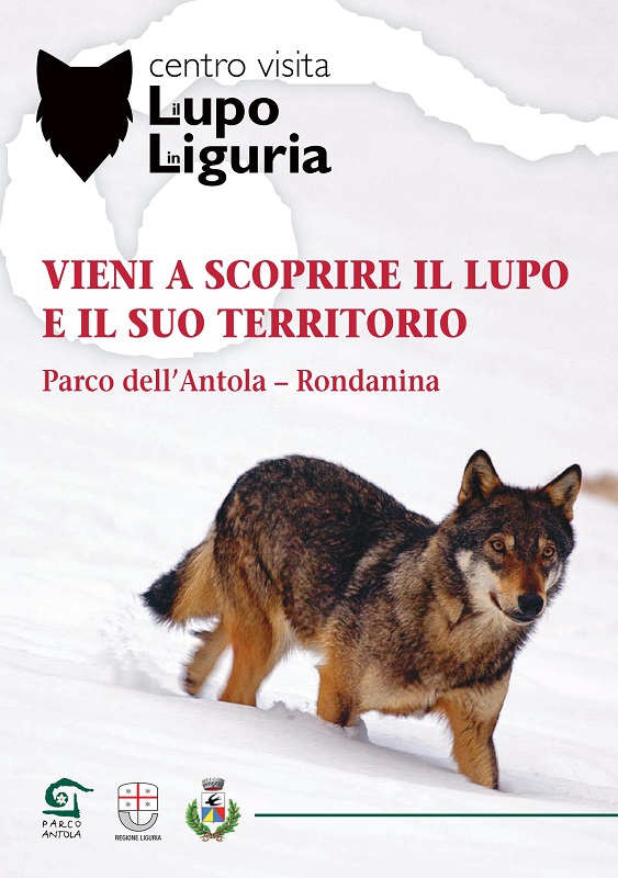 CamminAntola: Zeppado-Rondanina sulle orme del lupo