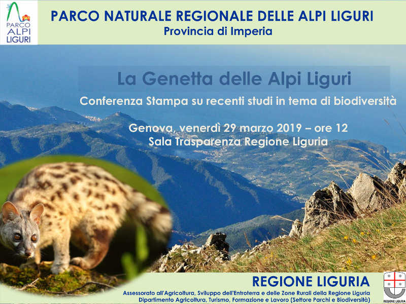 Venerdì 29 marzo – Conferenza Stampa 'La Genetta delle Alpi Liguri'