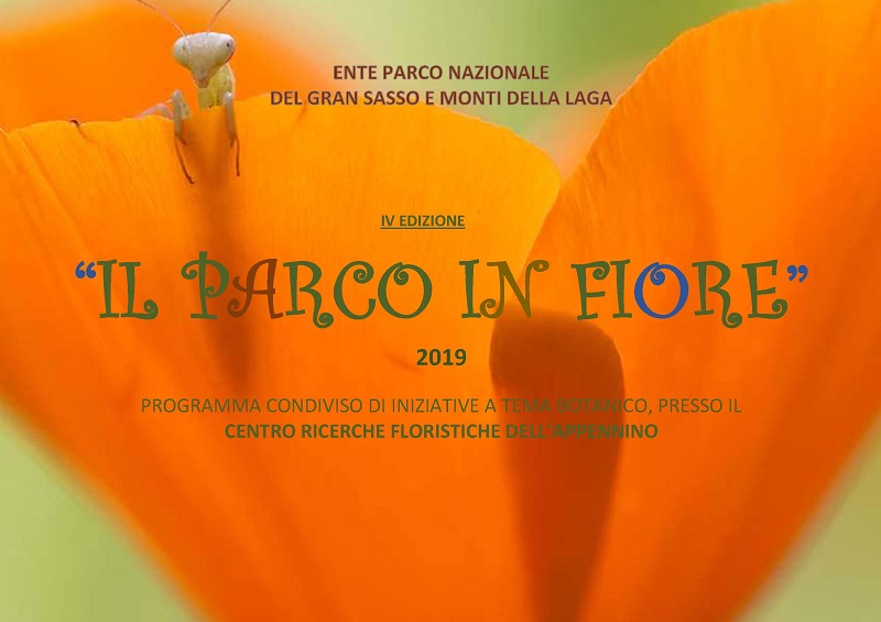 Bando della Rassegna 'Il Parco in Fiore 2019'