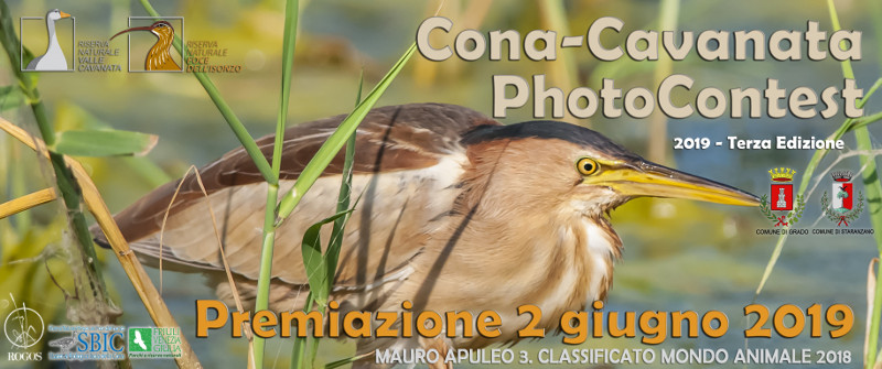 Cona-Cavanata Photocontest 2019
