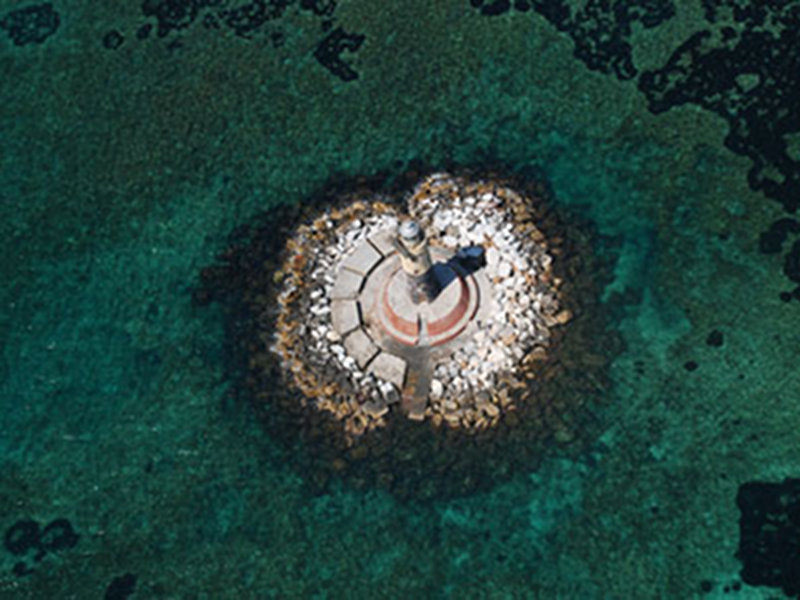 Santuario dei cetacei, il Parco aderisce a Pelagos