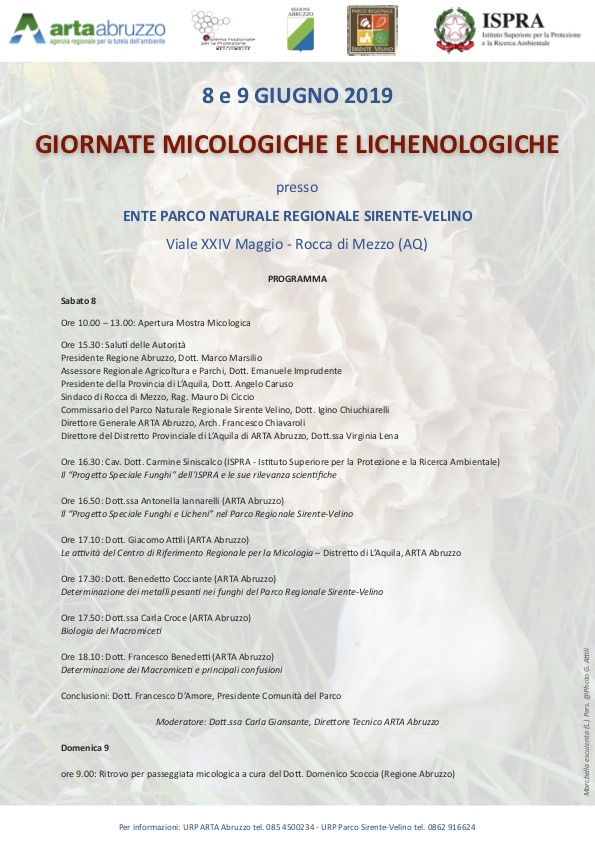 Le 'Giornate micologiche e lichenologiche' di Arta Abruzzo e Parco Sirente Velino a Rocca di Mezzo