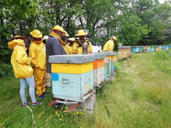Workshop internazionale per il dialogo tra apicoltori di 5 Riserve di Biosfera