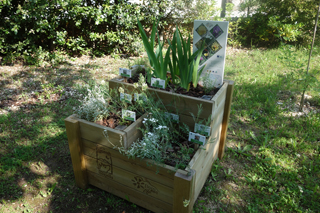 Piccoli giardini botanici nelle scuole per la conservazione delle piante Floranet