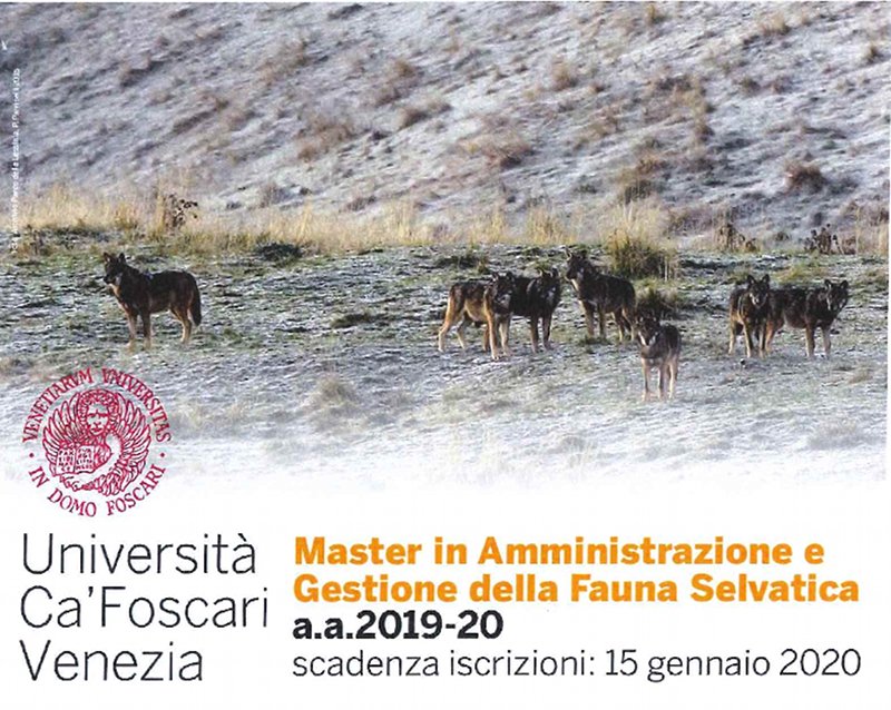 Master in Amministrazione e Gestione della Fauna Selvatica a.a. 2019/20