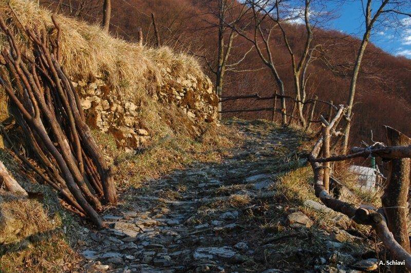 CamminAntola: autunno in Val Brevenna