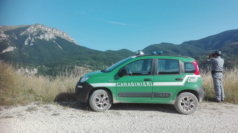 Carabinieri Forestali 'Parco' 