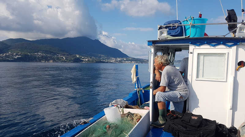 Punta Campanella promuove il consumo di pesce 'povero'​ in 20 locali della Campania