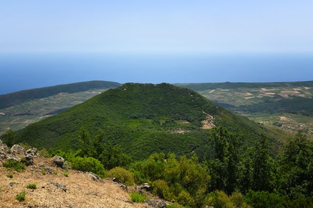 Pantelleria: messe a dimora complessivamente 1.500 piantine autoctone