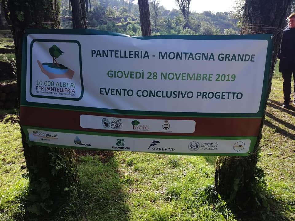 Federparchi a Pantelleria per i 10mila alberi per l'isola