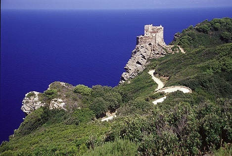 Nuove date ad aprile e maggio per vedere Gorgona isola carcere nelle isole toscane