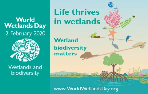 World Wetlands Day - Giornata Mondiale delle Zone Umide 2 Febbraio 2020