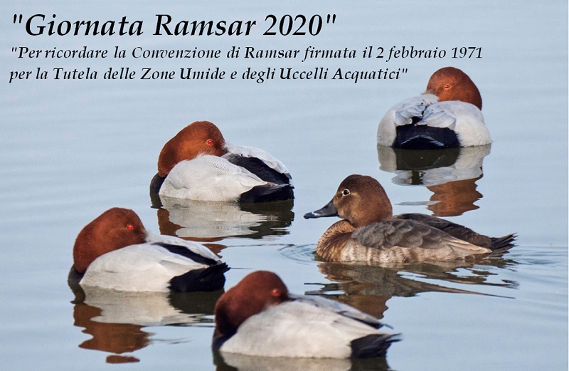 Giornata Ramsar 2020 - IX Edizione