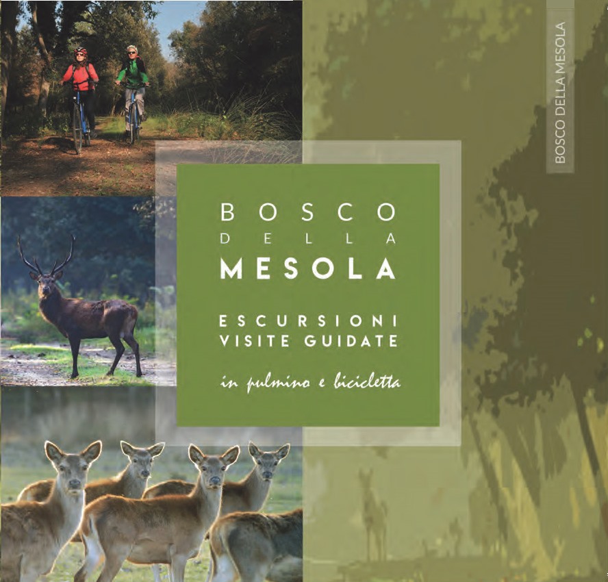 Bosco della Mesola