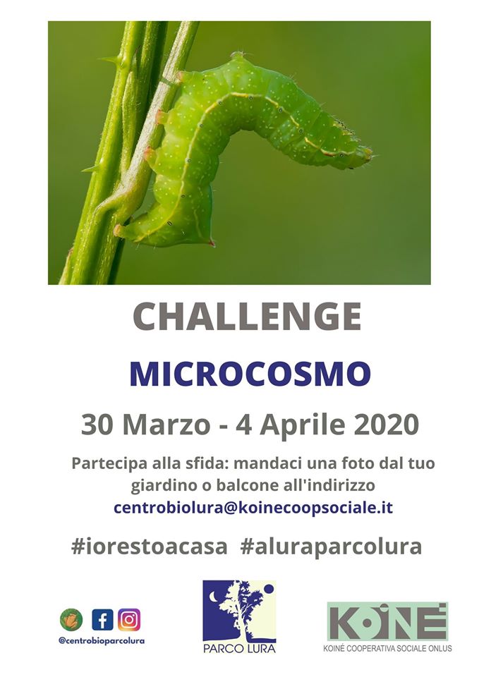 Challenge 'Microcosmo'