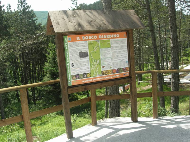 Il Bosco Giardino: un'altra piacevole passeggiata virtuale nel Giardino Botanico del Parco Federico Delpino, al passo del Bocco