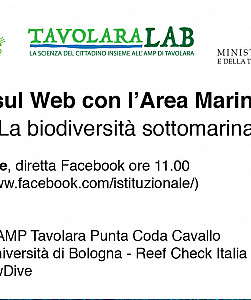 Incontri sul Web con l'Area Marina Protetta - La biodiversità sottomarina