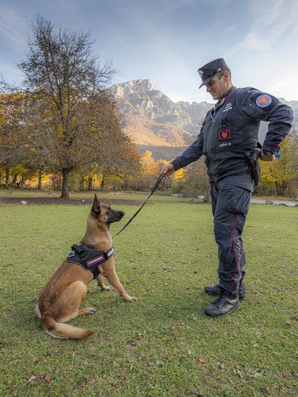 Settefrati (FR): strage di cani, torna l'incubo dei bocconi avvelenati. Stavolta ha rischiato anche il cane antiveleno dei Carabinieri Forestali.