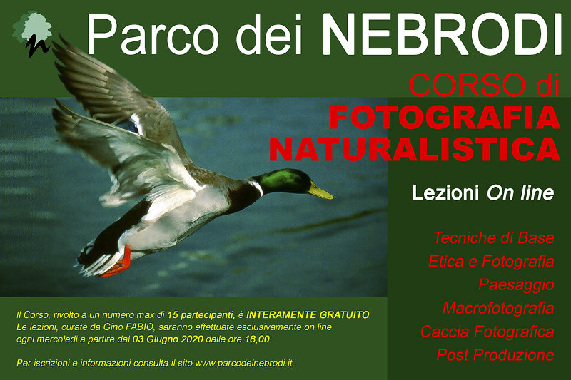 Parco dei Nebrodi:  on line il corso di fotografia naturalistica