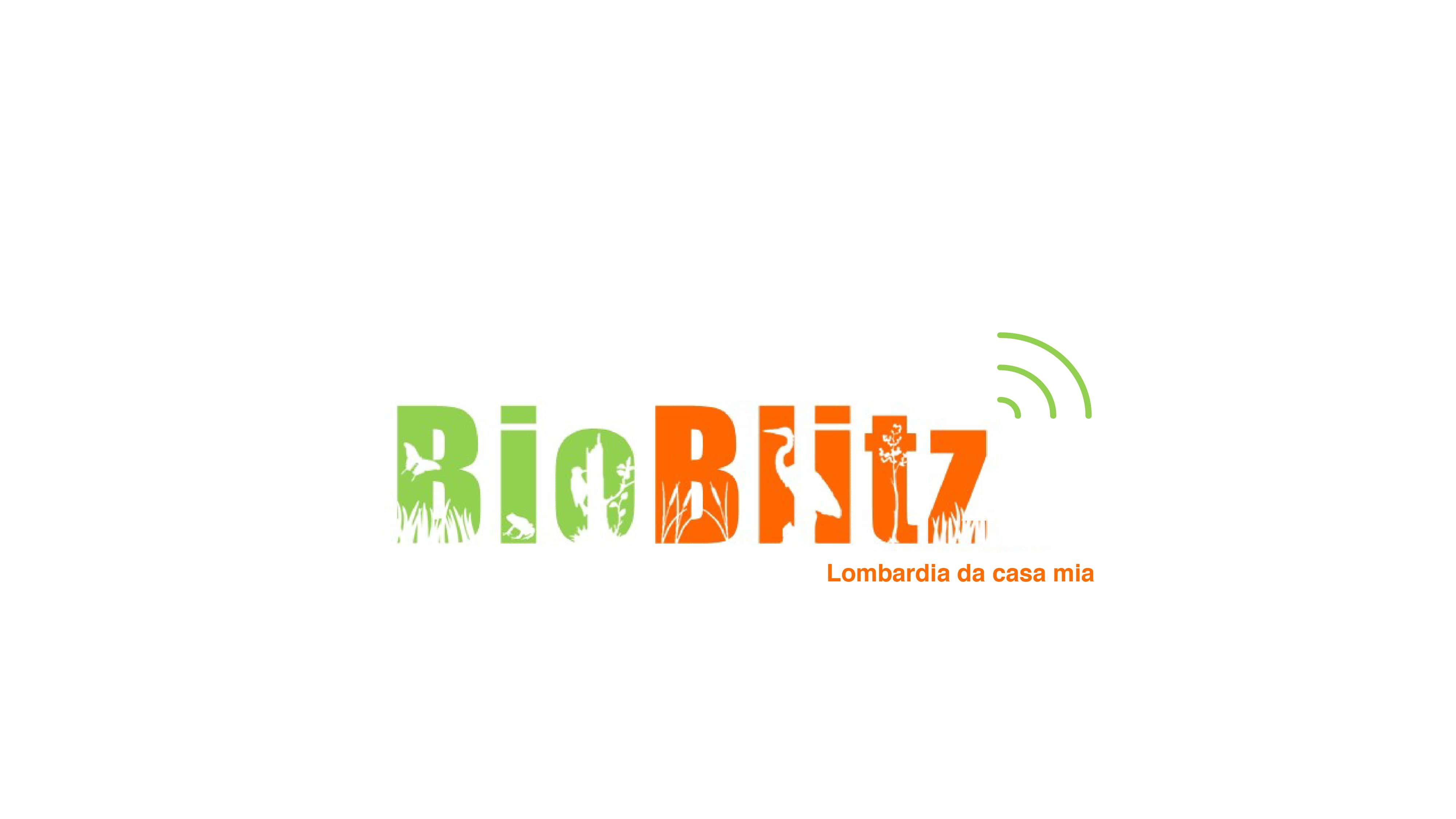 logo bioblitz