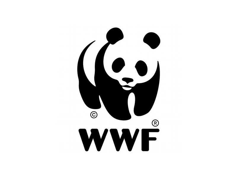 Proteggere l’Orso bruno marsicano  il WWF cerca volontari per attività di tutela in Abruzzo