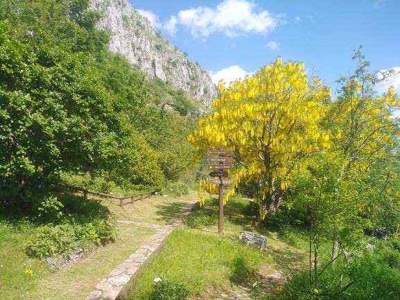 Il Giardino Botanico 'Maria Ansaldi' Pania di Corfino apre la stagione in Appennino tra visite guidate, trekking e relax in rifugio su prenotazione