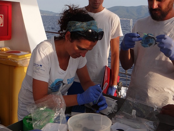 Progetto Plastic Busters MPAs al lavoro nell'Arcipelago Toscano