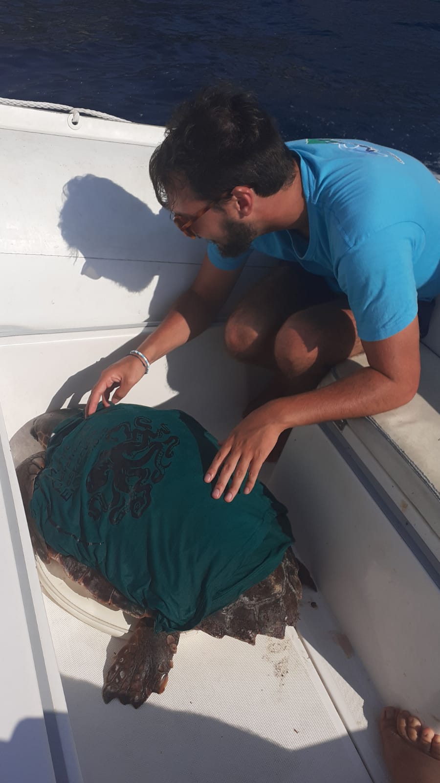 Da Stromboli a Punta Campanella,​ la Caretta caretta​ recuperata grazie al network di soccorso tartarughe
