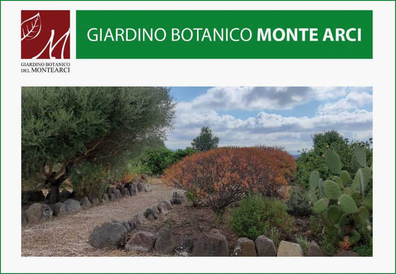 Inaugurato a Masullas il Giardino Botanico delle Essenze del Monte Arci